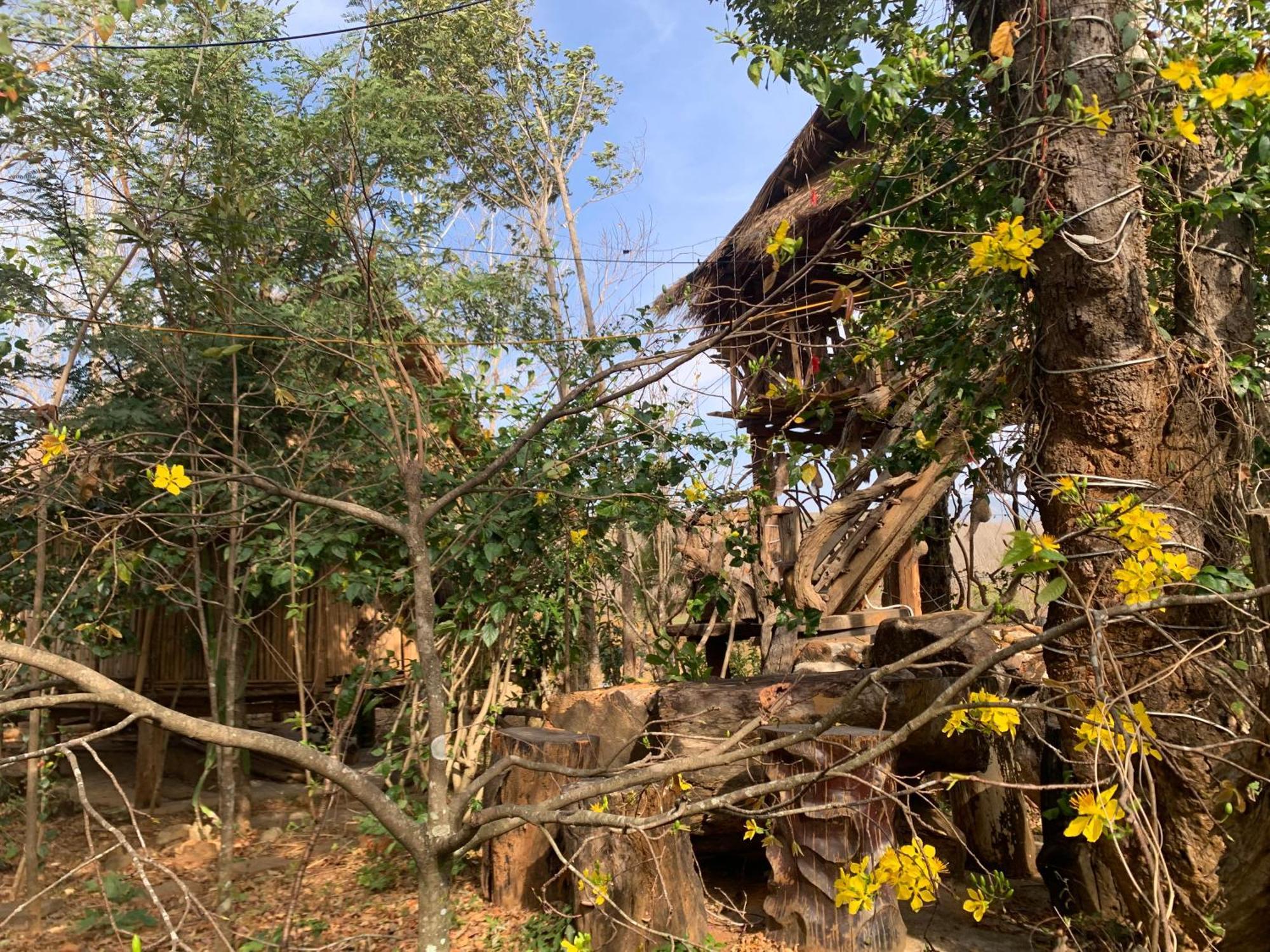 Khu Du Lich Sinh Thai, Nghi Duong Homestay Hoang Anh - Kon Xom Luh Kon Tum Eksteriør billede